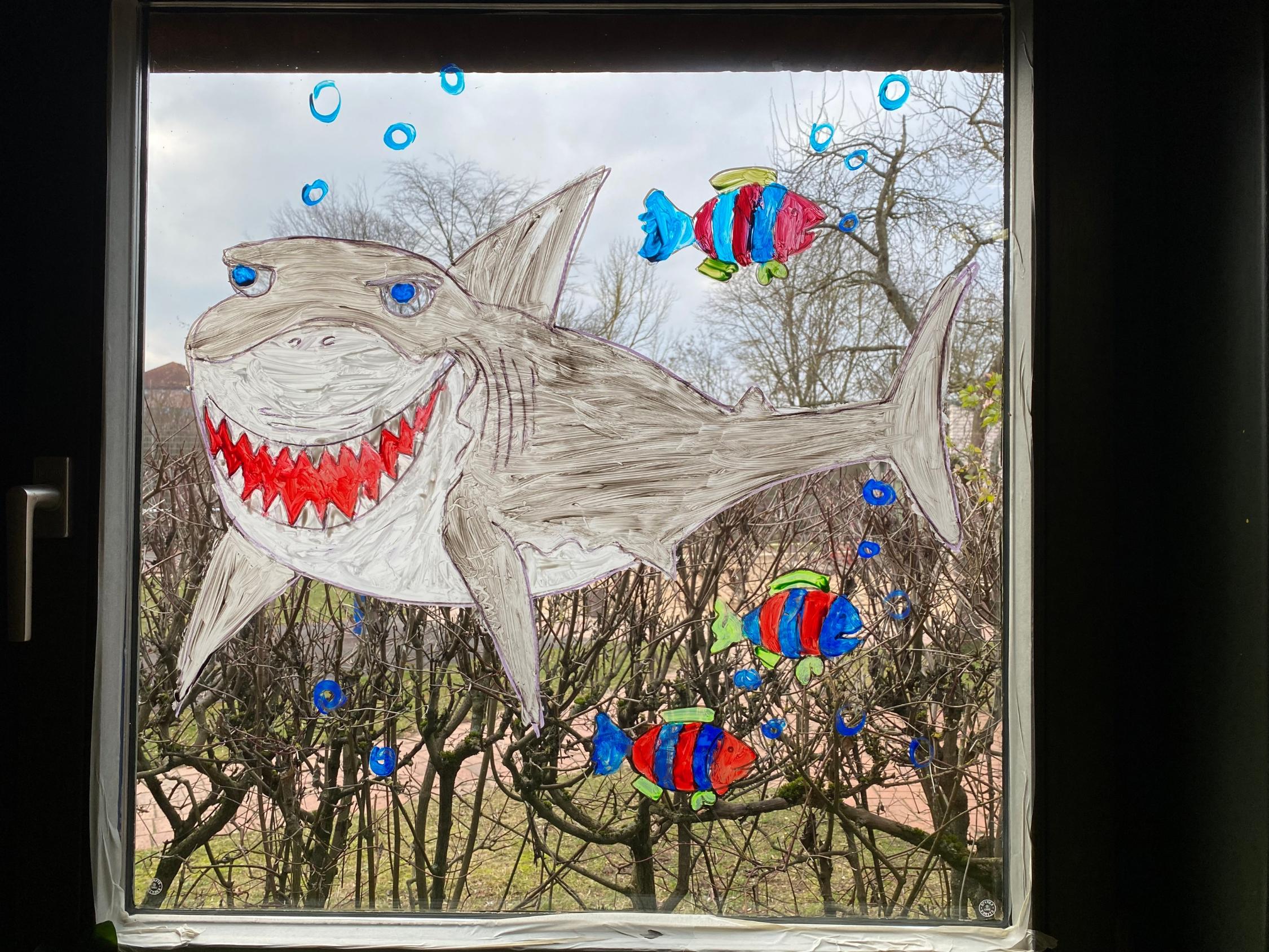 Fenster